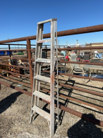 6 foot aluminum step ladder