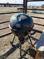 Expert Grill charcoal barbeque