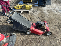 Mastercraft lawnmower