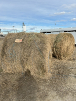 Second cut, alfalfa grass hay