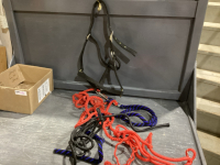 HALTERS, LEADS