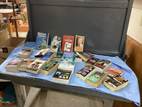 PAPERBACK NOVELS - VARIETY OF AUTHORS