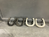 UNMATCHED HORSESHOE GAME -PEGS