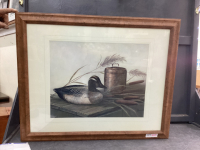 PICTURE OF A DECOY DUCK