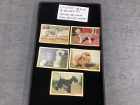 COLLECTION OF DR BALLARD PET FOOD DOG CARDS - 1950'S