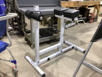 BODY SOLID WORKOUT APPARATUS