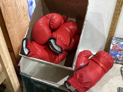 2 SETS OF BOXING GLOVES, GAMES