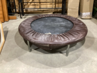MINI TRAMPOLINE