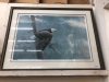 ROBERT BATEMAN BALD EAGLE PICTURE