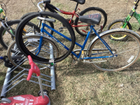 FREE SPIRIT 1 speed coaster bike