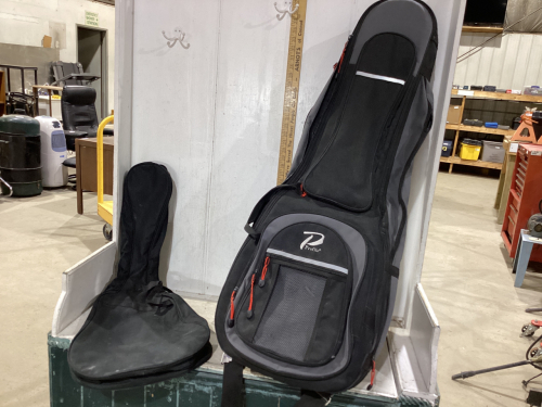 2 GUITAR CASES