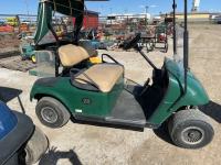 Easy go, Electric golf cart