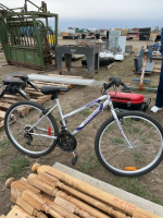 Supercycle 1800