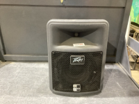 PEAVEY PR10 SPEAKER