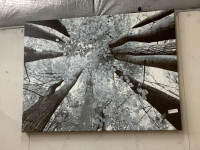 LARGE PICTURE ON CANVAS - GREY TONES