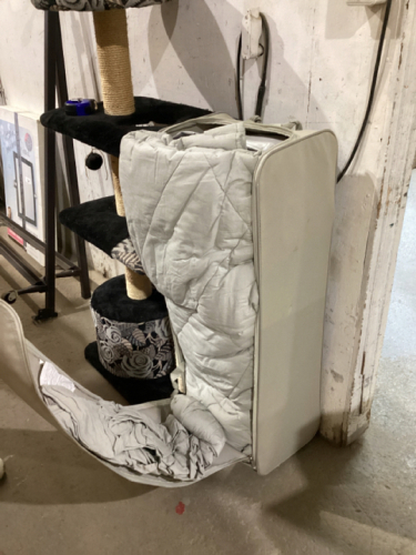 BED IN A BAG W/ MATTRESS
