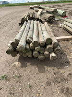 Bundle of 6 foot and 7 foot post