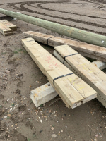 (2) 8 foot 3 x 12 treated