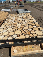 Decorative cross cut wall