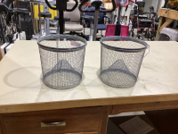 (2) MINNOW TRAPS