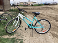 TRIUMPH CHALLENGER ADULT BIKE