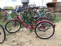 SCHWINN MERIDIAN ADULT TRIKE W/ BASKET - SINGLE SPEED