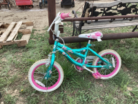 SMALL KIDS GLIMMERY TURQUOISE BIKE -