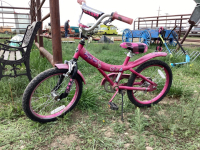 GIRLS "PURPLE RAIN" BIKE
