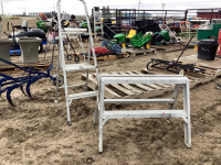 STEP LADDER AND SAW HORSE