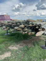 Quantity of mixed six and 7 foot driver post
