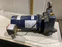 JACUZZI 3/4 HP PRESSURE PUMP