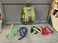 LEASHES, SMALL BACKPACK