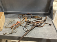 BOX WITH 4 BITS AND SOME REINS