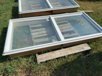 Single double window