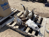 PALLET W/ (5) LONGHORN SKULLS