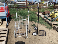 FOLDING SHOPPING CART AND DOLLY