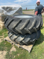 Set of (2) utility tractor tires on 8 bolt rims