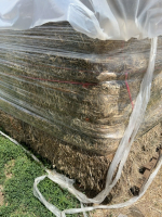 Pallet of 24 bales of new grass Horse hay