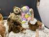 LARGE ORIGINAL BEANIE BUDDIES - 4