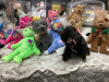 LARGE BOX OF ORIGINAL BEANIE BABIES - INCLUDES PLATINUM MEMBERSHIP BEAR - 4