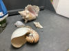 RESIN GIRL FIGURINE AND COLLECTION OF SHELLS - 2