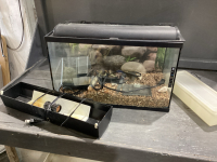AQUARIUM