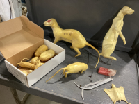 TAXIDERMY MODELS