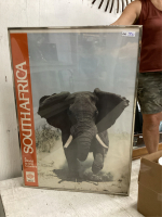 LARGE FRAMED ELEPHANT PICTURE