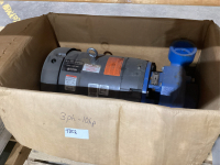 3 PHASE 10 HP ELECTRIC PUMP - UNUSED