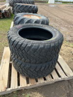 Two light truck tires