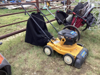 CUB CADET CSV 220 4 IN 1 .....CHIPPER,, SHREDDER, VACUUM, BLOWER