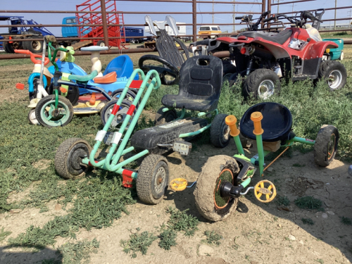 2 PEDDLE POWER GO CARTS