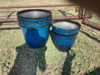 BLUE PLANTERS