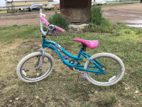 GIRLS SUPERCYCLE "DREAM WEAVER" PINK & BLUE BIKE